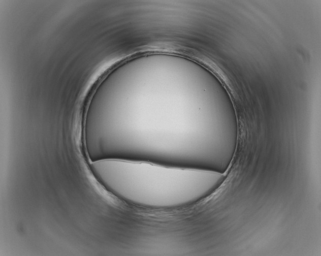 X0000111361131200907100950