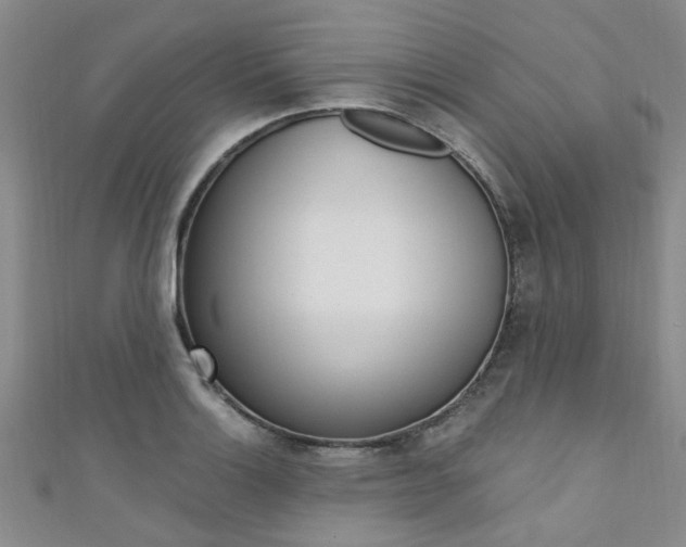 X0000111361132200907100951