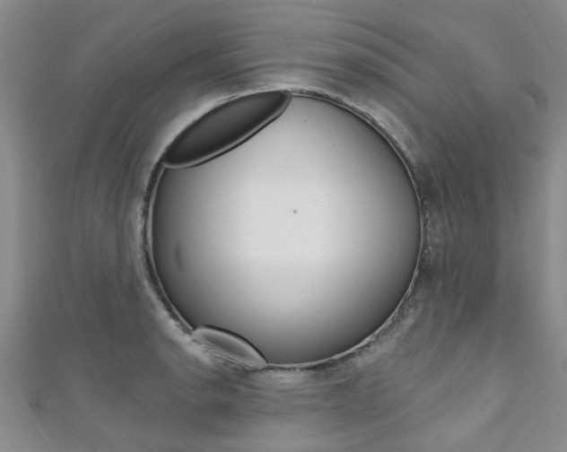 X0000111361134200907100951