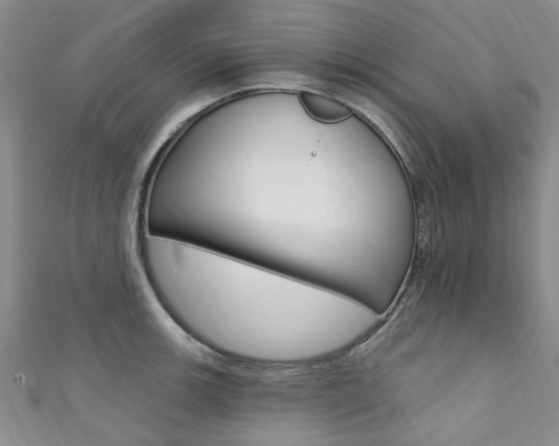 X0000111361139200907100951