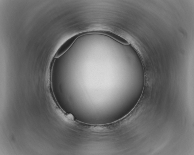 X0000111361140200907100951