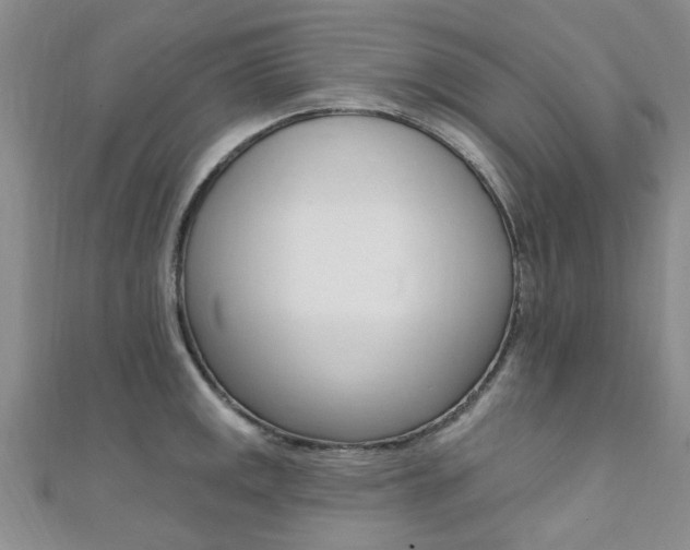 X0000111361141200907100951