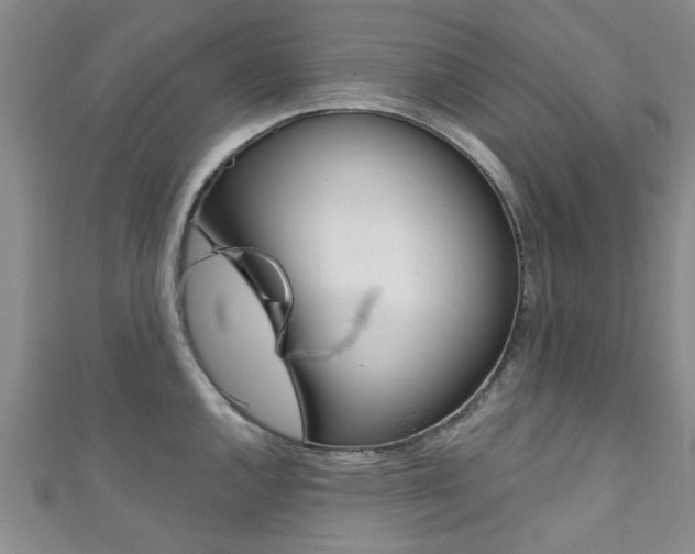 X0000111361144200907100951