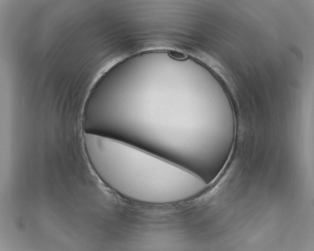 X0000111361145200907100951