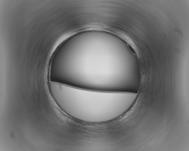 X0000111361146200907100951