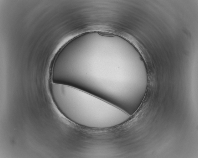 X0000111361147200907100951