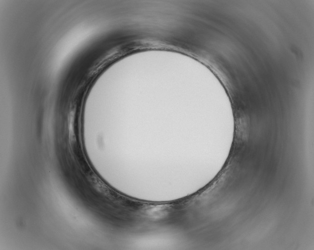 X0000111361150200907100951
