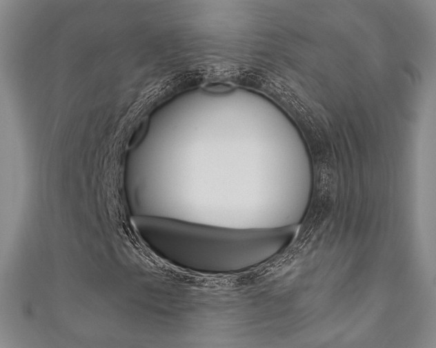 X0000111361153200907100950