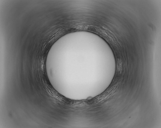 X0000111361154200907100950