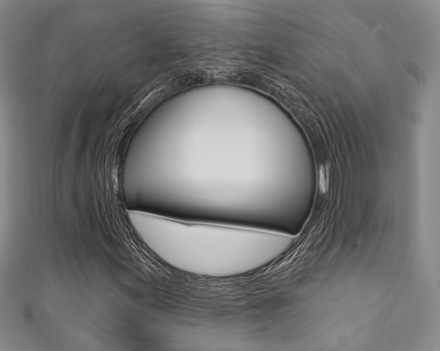 X0000111361155200907100950