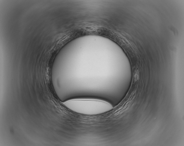 X0000111361156200907100950