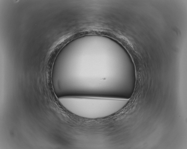X0000111361159200907100950