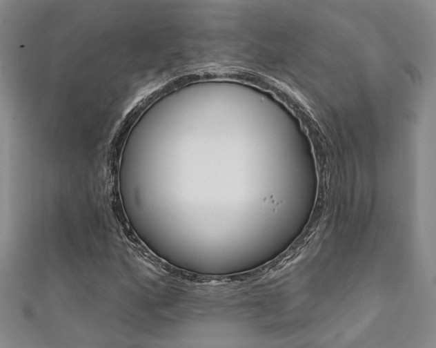 X0000111361160200907100950