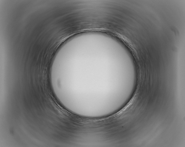 X0000111361161200907100950