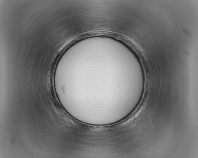 X0000111361162200907100950