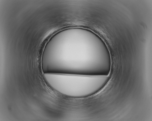 X0000111361163200907100950