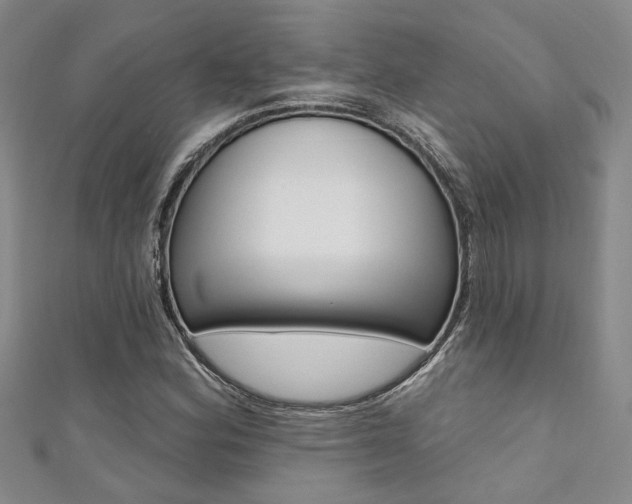 X0000111361164200907100950