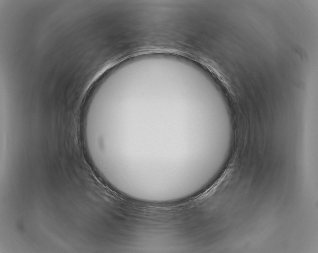 X0000111361165200907100950