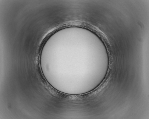 X0000111361166200907100950