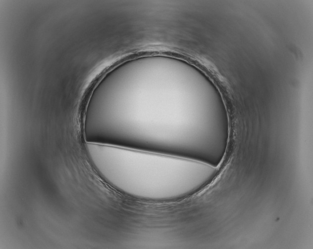 X0000111361167200907100950