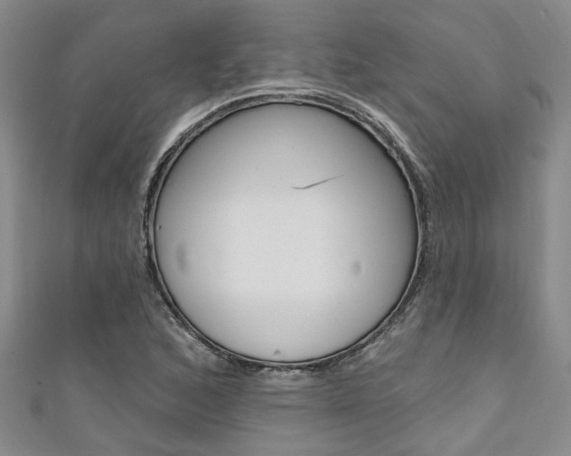 X0000111361168200907100950