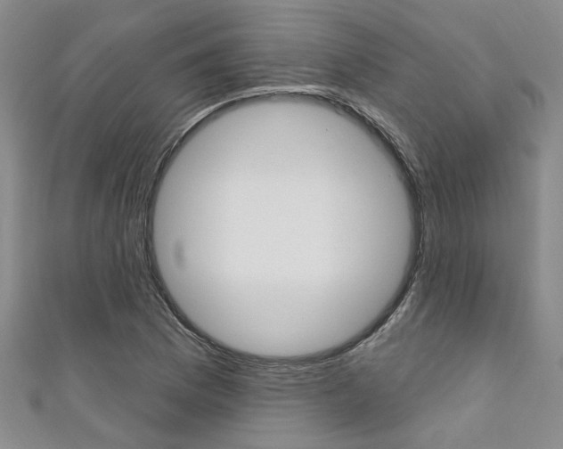 X0000111361169200907100950