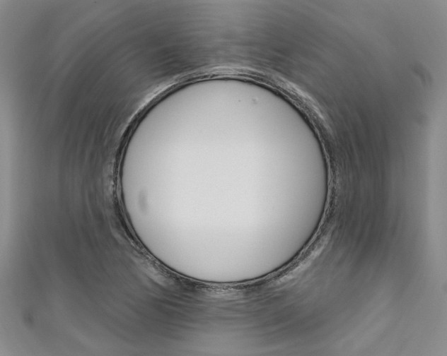 X0000111361170200907100950