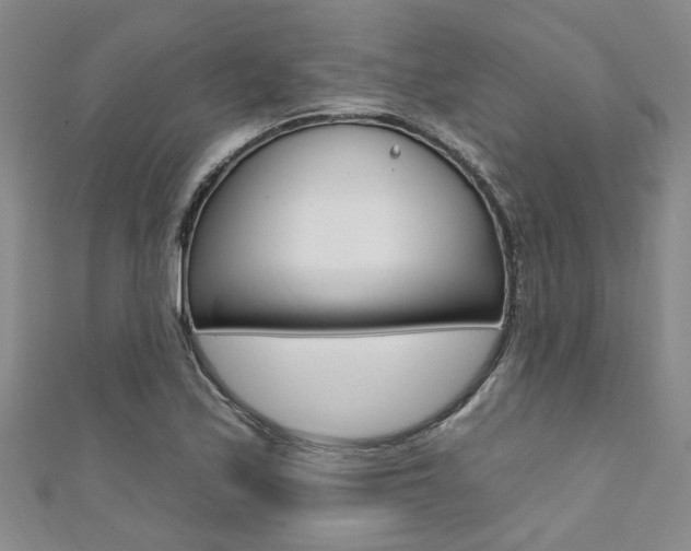 X0000111361171200907100950