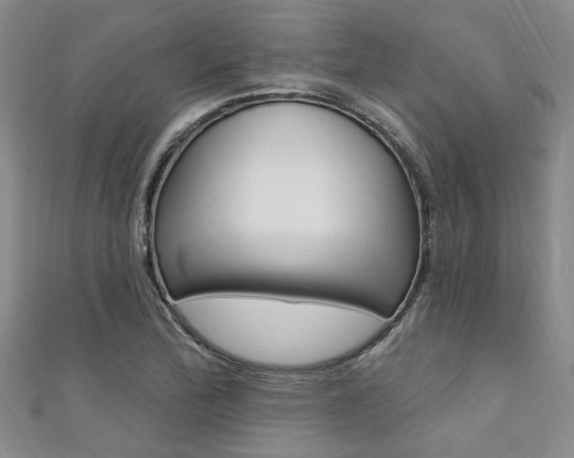 X0000111361172200907100950