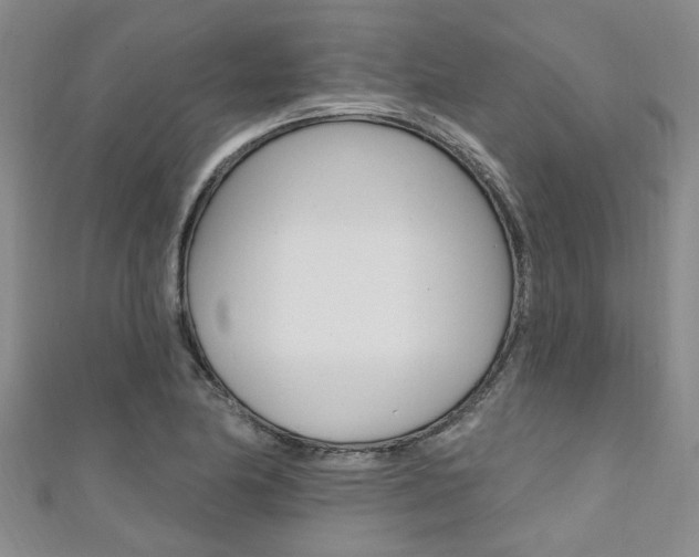 X0000111361174200907100950