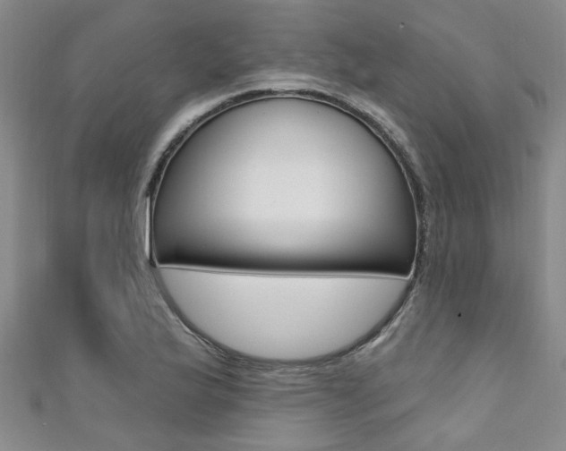 X0000111361175200907100950