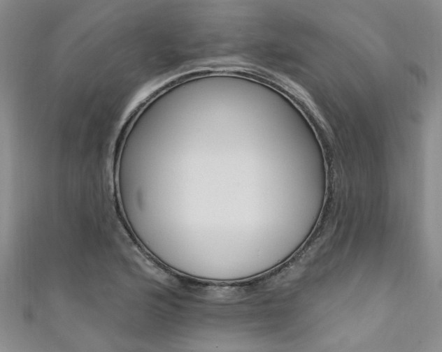 X0000111361176200907100950
