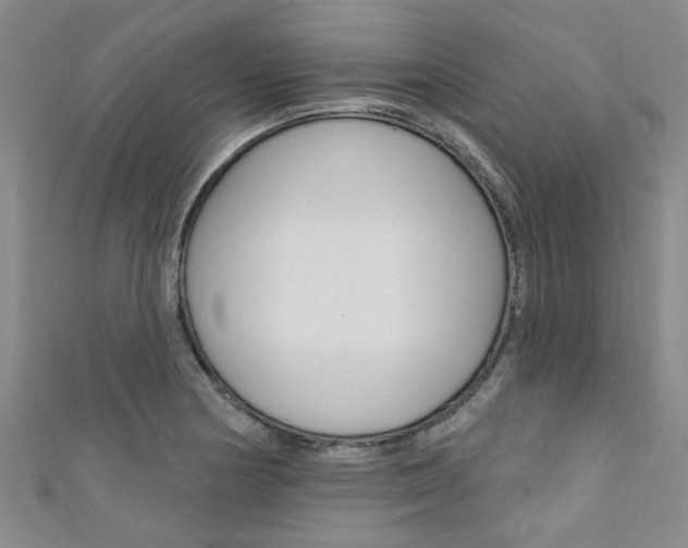 X0000111361178200907100950
