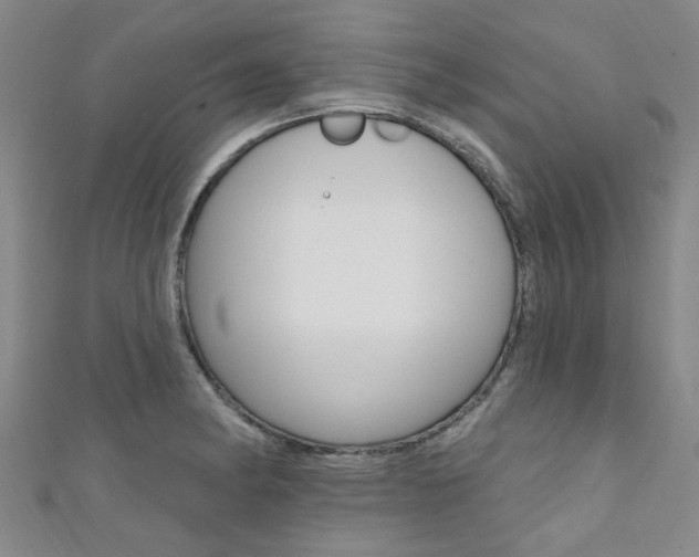 X0000111361182200907100950