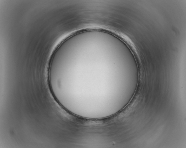 X0000111361183200907100950