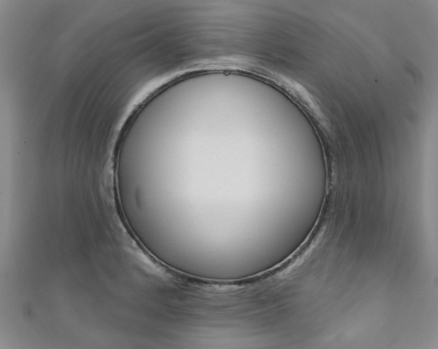 X0000111361184200907100950