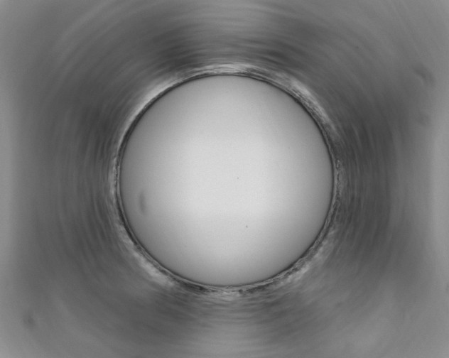 X0000111361186200907100950