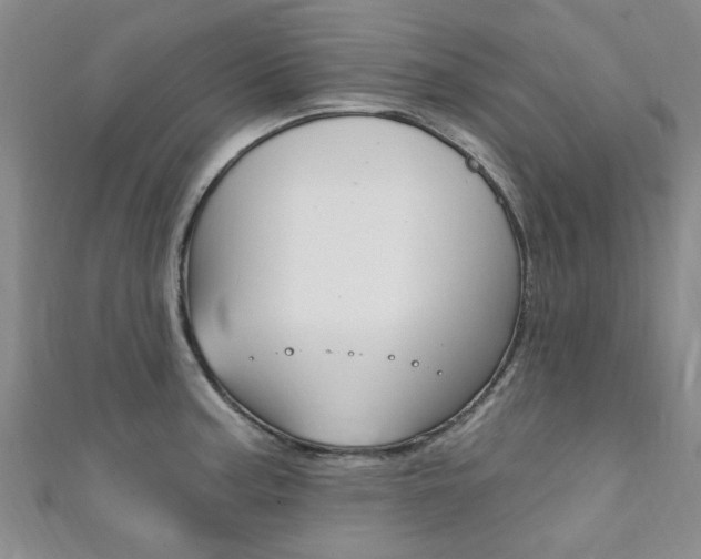X0000111361187200907100950