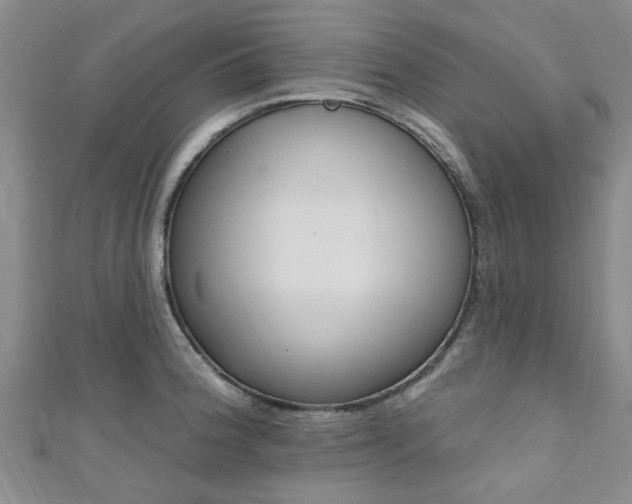 X0000111361188200907100950