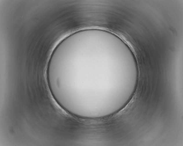 X0000111361189200907100950