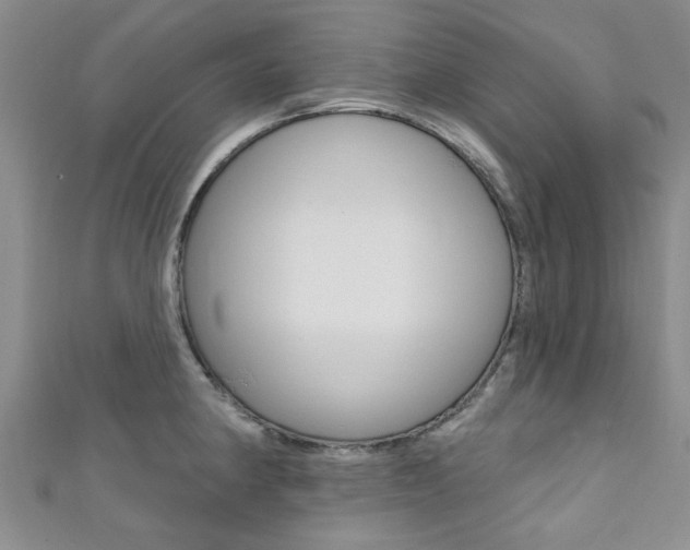 X0000111361190200907100950