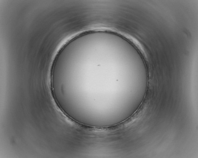 X0000111361191200907100949