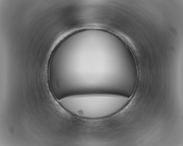 X0000111361192200907100949