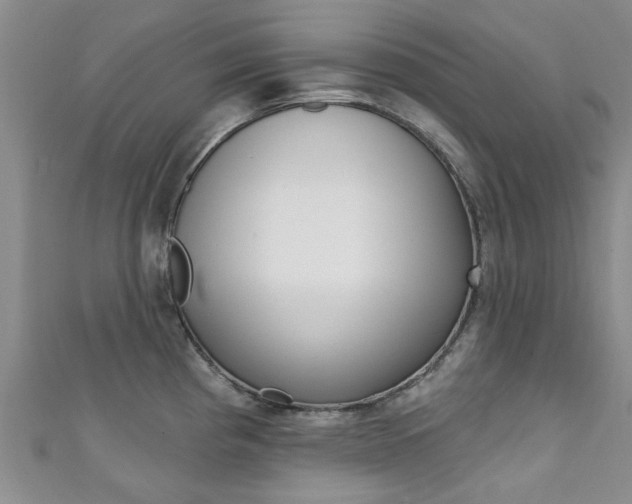 X0000111361193200907100949
