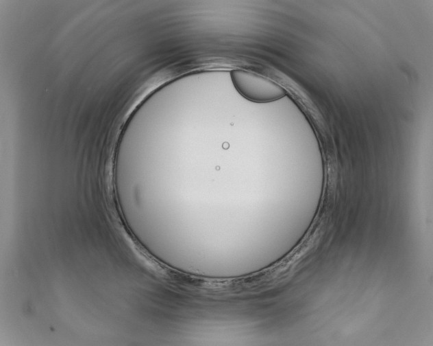 X0000111361194200907100949
