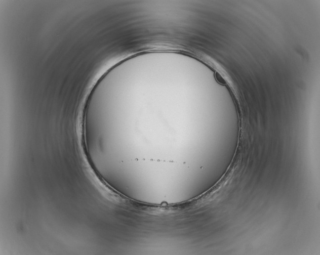 X0000111361195200907100949