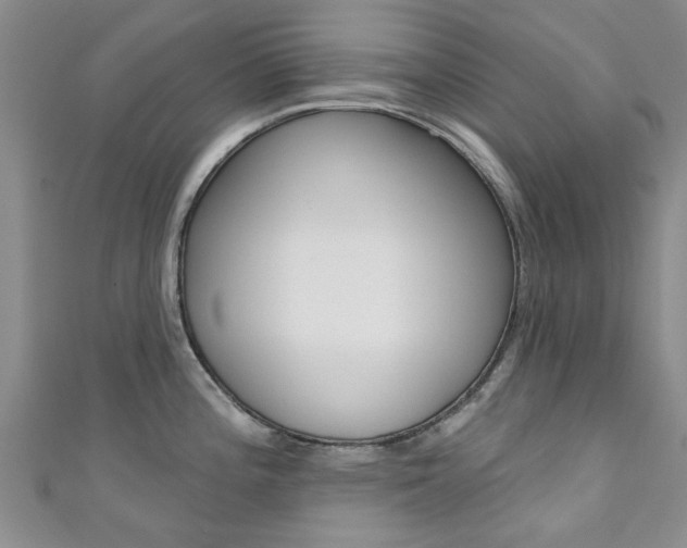 X0000111361196200907100949