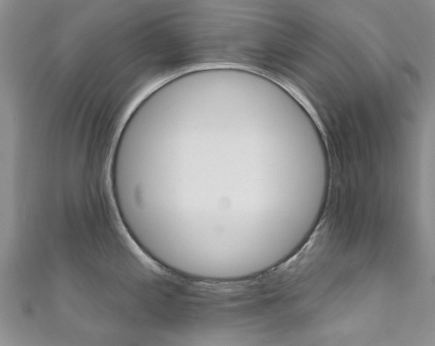 X0000111361197200907100949