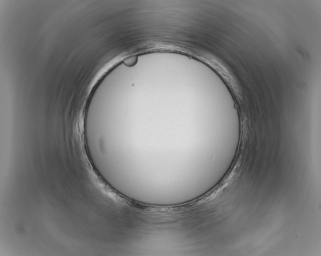 X0000111361198200907100949