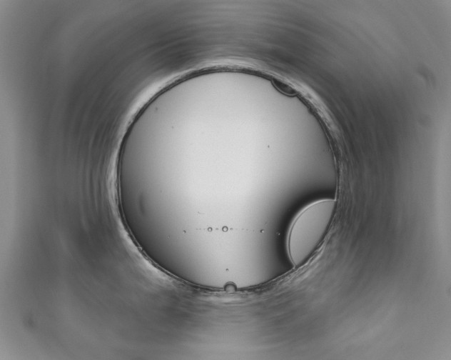 X0000111361199200907100949